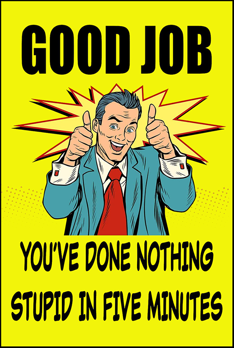 Good Job! You’ve Done Nothing Stupid Metal Wall Poster – Signs for Mankind